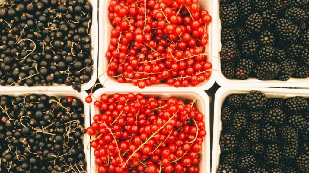 Top 10 Pinterest Vaikuttajaa Yhteistyöhön USAsta Suomelle
