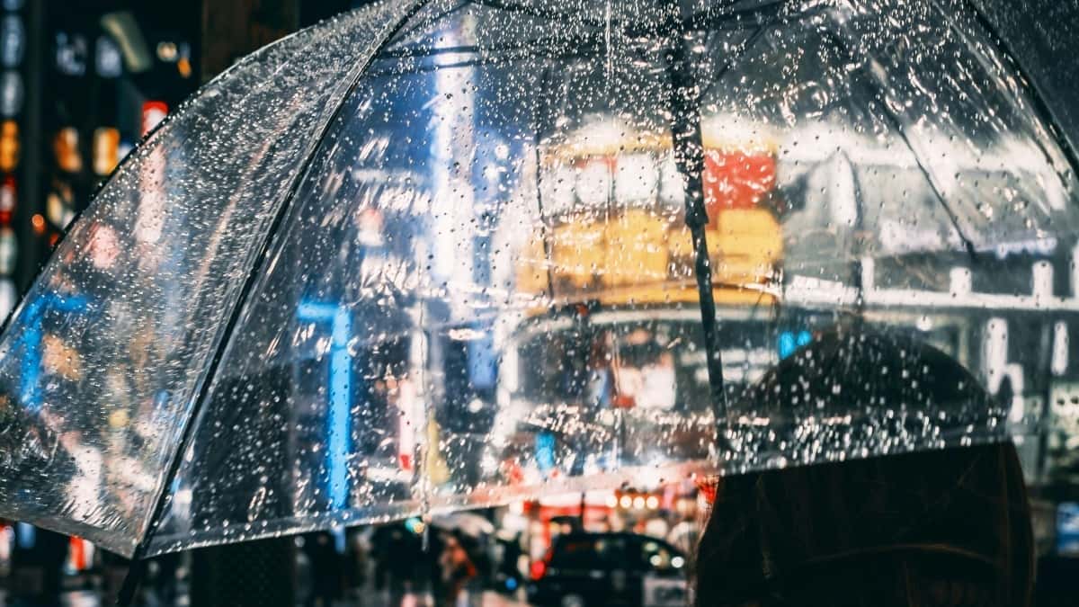 Luojat: tavoita Dominikaaniset brÀndit WeChatissa nyt