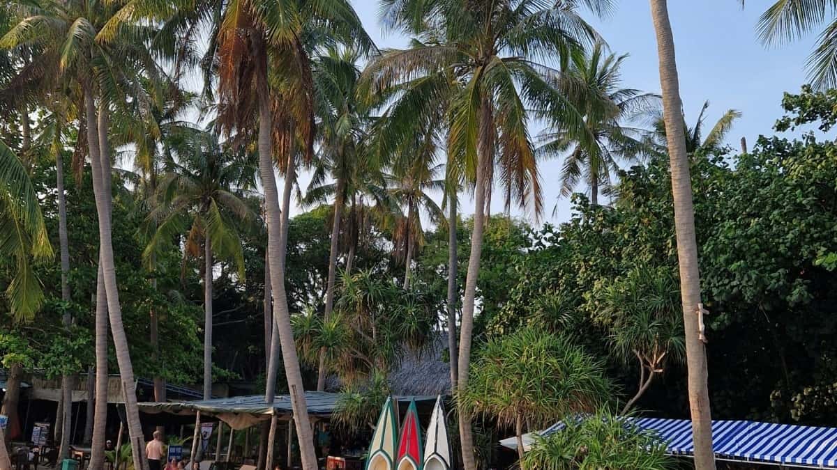 Markkinoijille: Löydä Puerto Ricon Spotify-luojat nopeasti
