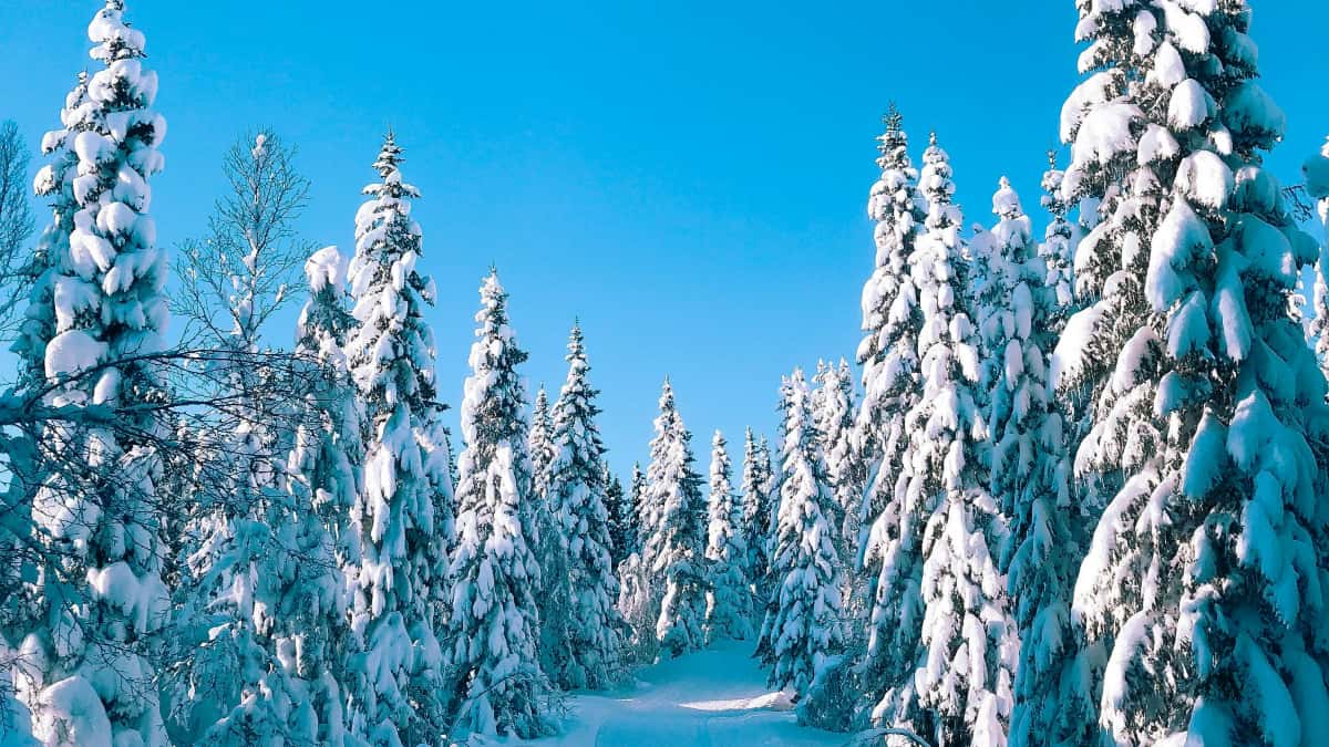 Suomalainen sisällöntuottaja: Kuinka tavoittaa unkarilaiset brändit Facebookissa alennuskoodeilla