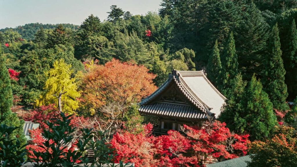 Kaytannon opas suomalaisille mainostajille: kuinka etsia ja palkata kolumbialaisia Amazonsisallontekijoita visuaalisiin tuotearvosteluihin, sopimusneuvottelut, paikallistrendit ja riskit.