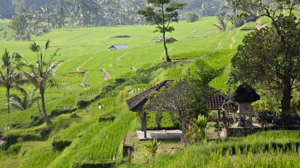 Kaytannon opas suomalaisille markkinoijille: mista loytaa Romanian SoundCloud-tekijoita ja miten solmia yhteistyo reaalimaailman tapahtumavlogeihin.