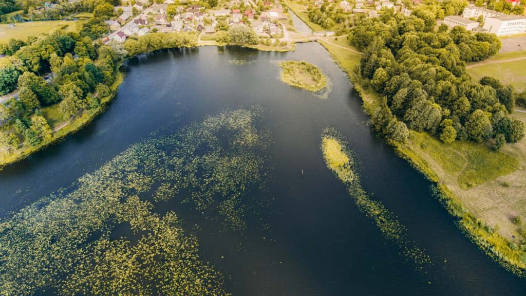 Kaytannon opas suomalaisille mainostajille: miten loytaa Kuwaitin Taobaovaikuttajia, suunnitella hypetetty flashkampanja ja mitata tulokset.