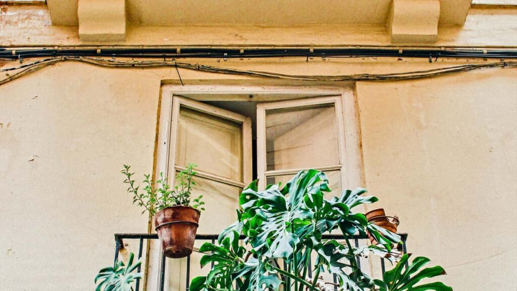 Konkreettinen opas suomalaiseen markkinoijaan: miten loytaa Puolan Taobaoluojat sesonkitarjouksiin, sopimusehdot, hinnoittelu ja kaytannon lahestymistavat.