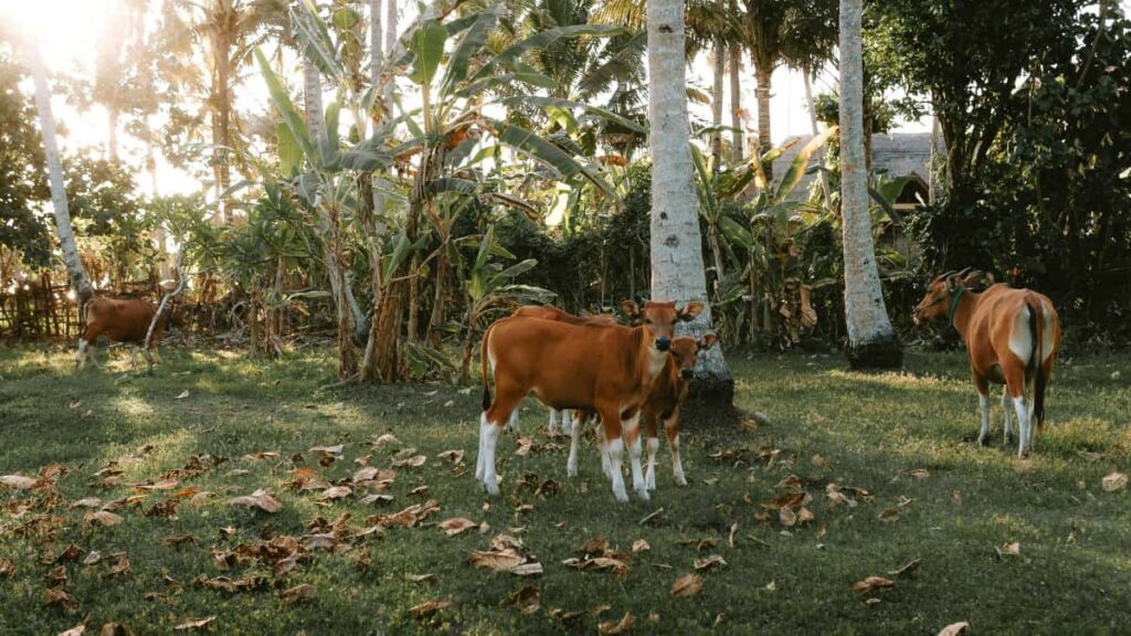 Konkreettinen opas suomalaiselle tubettajalle: miten loytaa, lahestya ja sopia PohjoisMakedonian brandien kanssa YouTube-arvonnasta pelikeysien ymparille.