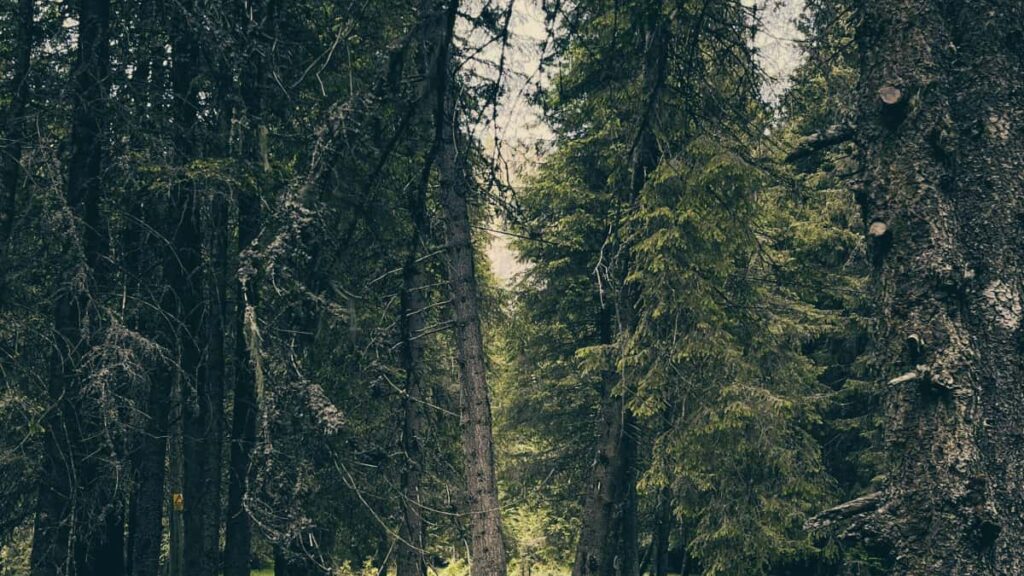 Kaytannon opas suomalaiselle sisallontuottajalle: miten lahestya Perun pelibrandeja Twitchissa, saada arvosteluita uusista ominaisuuksista ja rakentaa pitkaaikaisia yhteistyosuhteita.