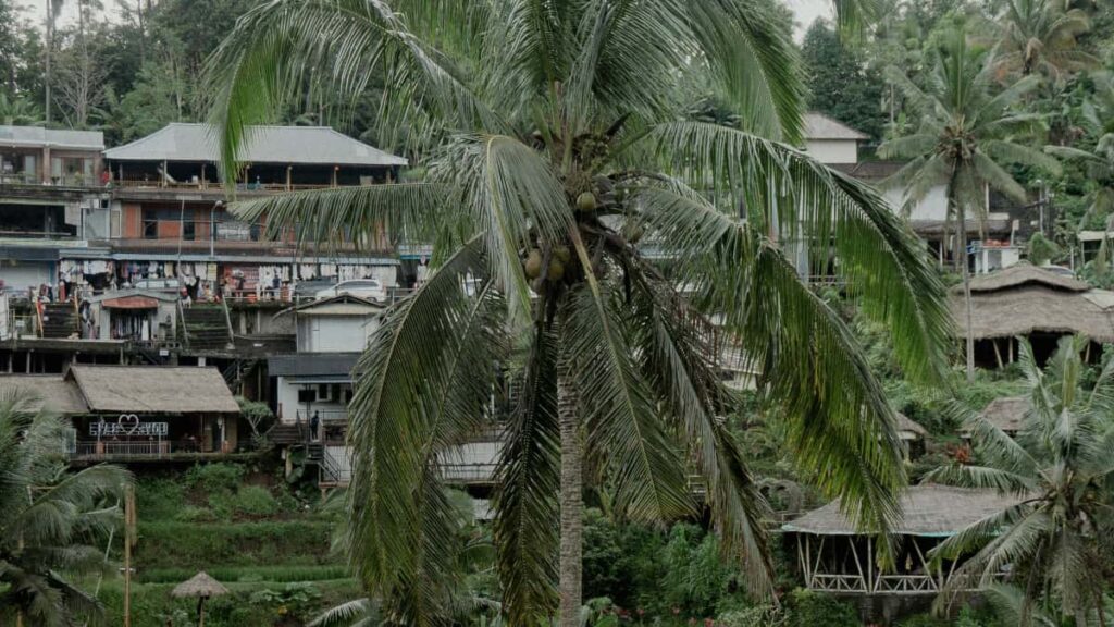 Kaytannon opas suomalaisvaikuttajalle: miten loydat ja lahestyt brittilaisia brandeja Clubhousessa, rakennet yhteistoita ja saat heidat jakamaan terveystottumuksia seuraajillesi.