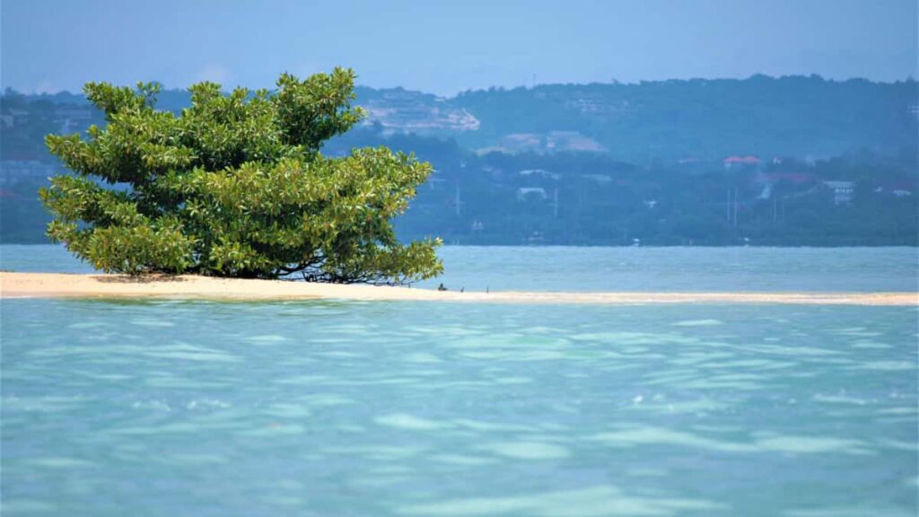 Kaytannon opas suomalaisluojille: miten loytaa ja lahestya Argentiinan brandeja Netflix-sisaltojen ennenjalkeen -muutoksien jakamiseksi.