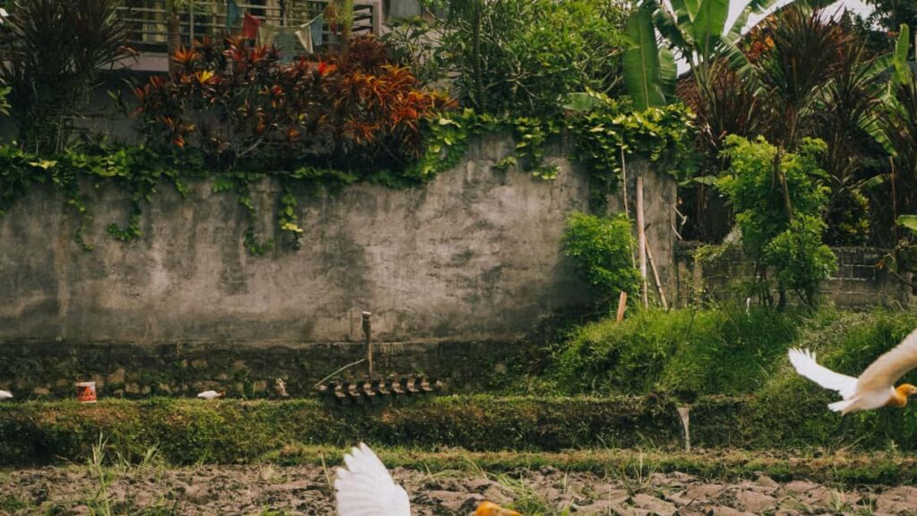 Kaytannon opas suomalaiselle sisallontuottajalle: miten loytaa ja lahestya liettualaisia myyjia Shopeessa, hyodyntaa affiliate- ja UGC-mahdollisuuksia seka rakentaa pitkaaikaisia kaupallisia yhteistyosuhteita.