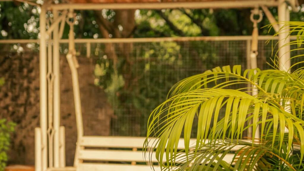 Kaytannon opas siita, miten suomalainen brandi loytaa ja aktivoi Turkin Discord-tekijoita tuotetuntemuksen kasvattamiseen globaaleilla markkinoilla.