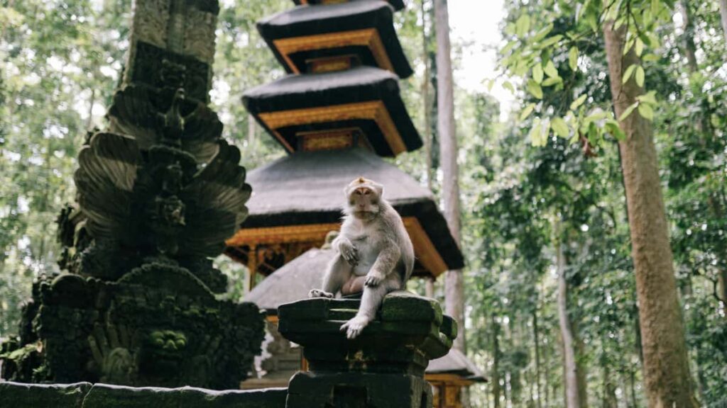 Konkreettinen opas suomalaismainostajalle: miten loytaa Latviaan kohdistuvia Disney Plus -sisallontuottajia ja ottaa heidat mukaan peliyhteisojen nakyvyyden kasvattamiseen.