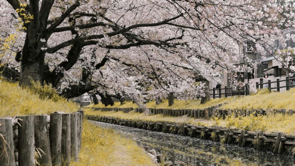 Kaytannon opas suomalaisille sisallontuottajille: miten lahestya sveitsilaisia brandeja Viberissa, rakentaa aitoutta ja saada UGCyhteistoita.