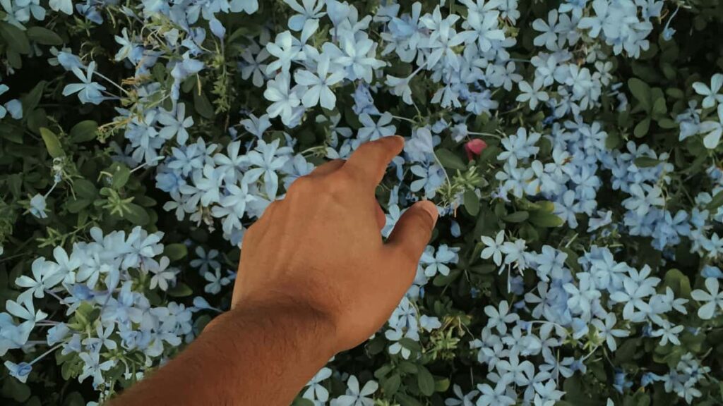 Kaytannon opas suomalaisille mainostajille: miten loytaa ja yhteistyohon Costa Rican Pinterestluovien kanssa, tavoittaa kapeat yleisot ja mitata tuloksia.