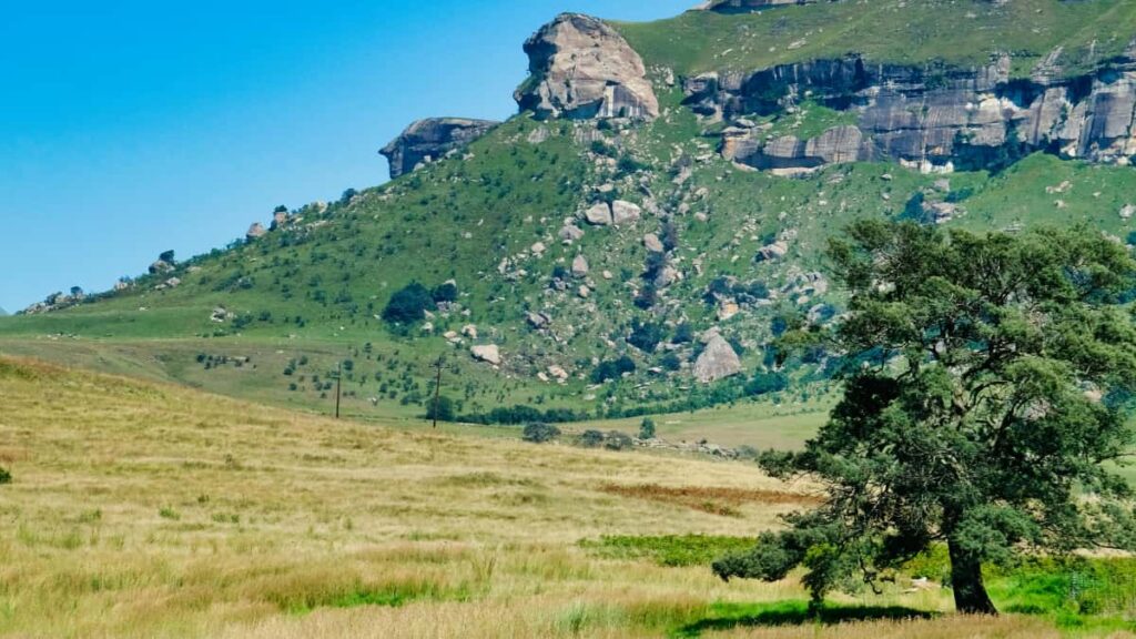 Kaytannon opas suomalaisille mainostajille: miten loytaa Bolivian Twittersisallontuottajat ja hyodyntaa heita productled growth -kampanjoissa.