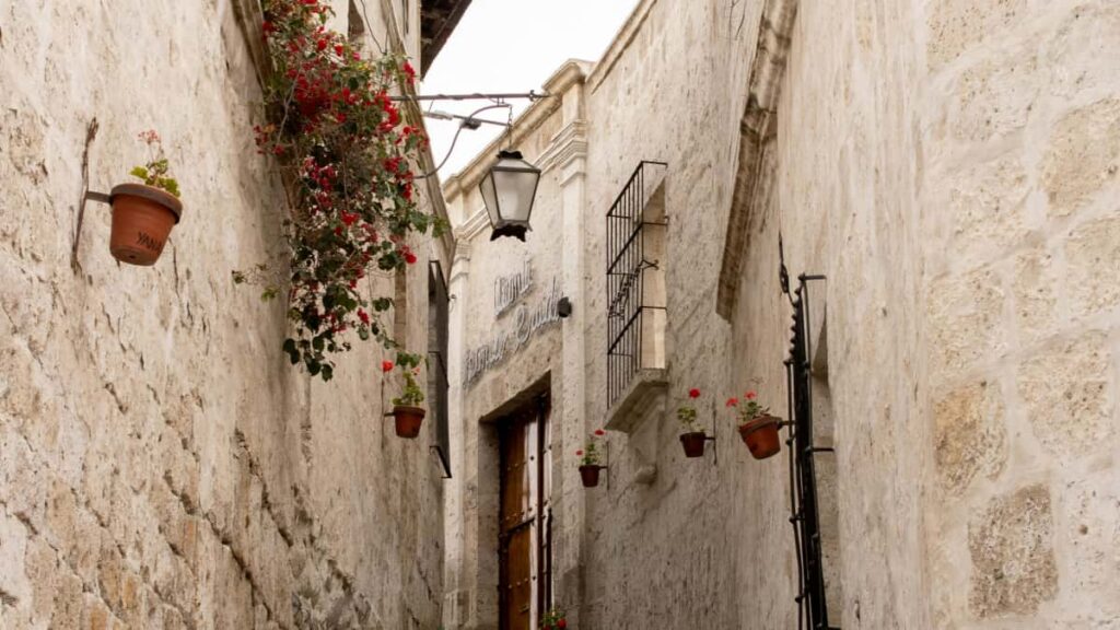 Kaytannon opas suomalaisluojille: miten lahestya Australian brandeja WeChatissa, tuoda esiin must-have-tuotteet ja rakentaa luottamusta digitaalisesti.