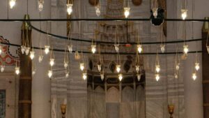 Kaytannon opas suomalaisille mainostajille: miten loytaa ja aktivoida Saksassa toimivia Rumbleluojia verkkokurssien ja oppimisalustojen promotointiin.