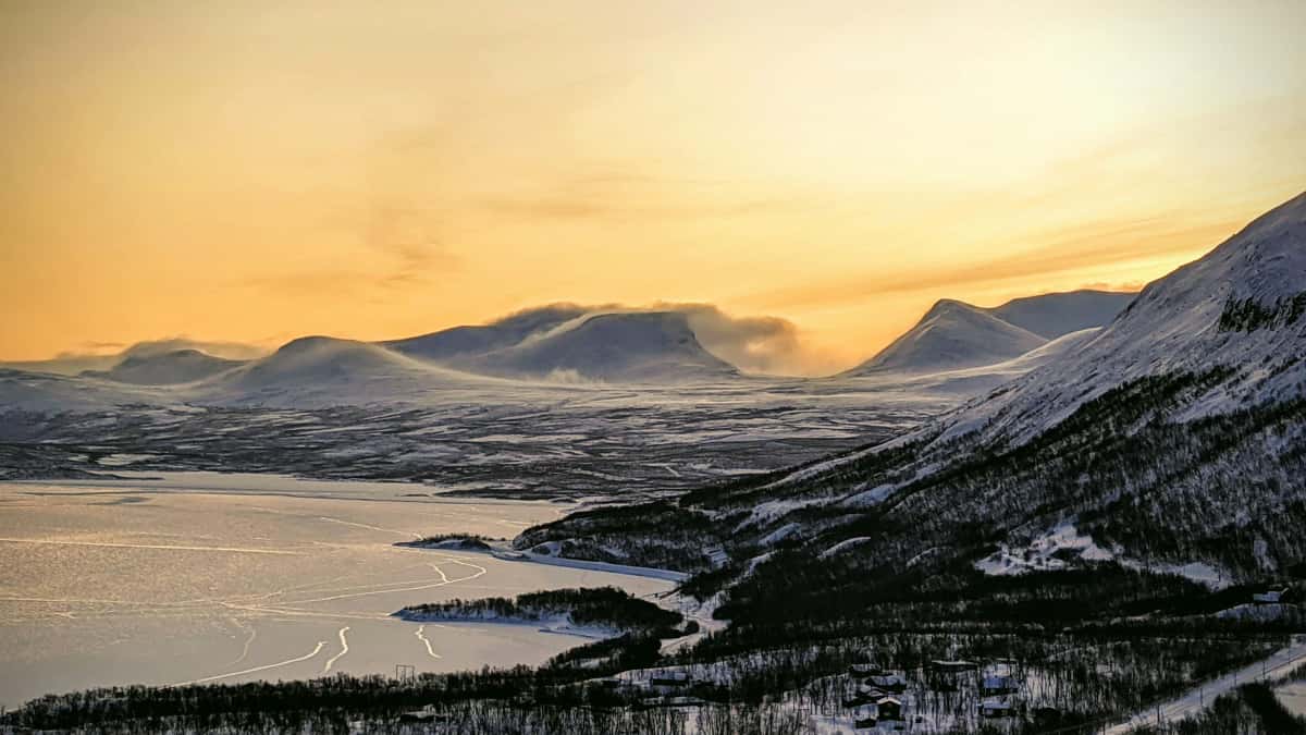 Suomalaiset brändit Lineissä: kotiinpäin rakentuvat pitkäaikaiset diilit